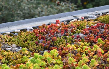 the cost of Marsett green roof installation