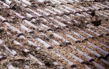 Marsett roof cleaning companies